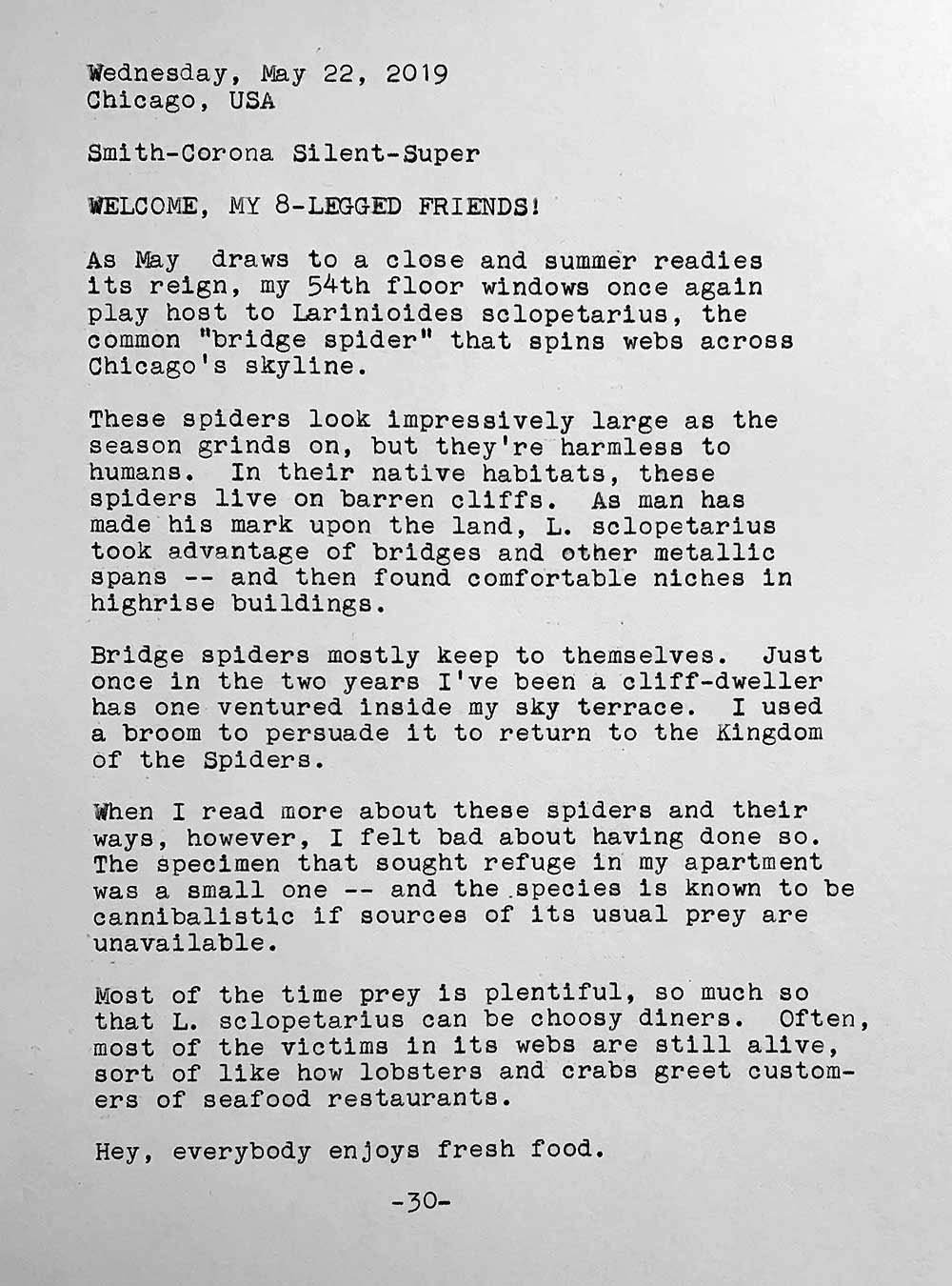 Photo is of a typewritten page with the following text. Wednesday, May 22, 2019. Chicago, USA. Smith-Corona Silent-Super. Welcome, my 8-legged friends! As May draws to a close and summer readies its reign, my 54th floor windows once again play host to Larinioides sclopetarius, the common bridge spider that spins webs across Chicago's skyline. These spiders look impressively large as the season grinds on, but they're harmless to humans. In their native habitats, they live on barren cliffs. As man made his mark upon the land, L. sclopetarius took advantage of bridges and other metallic spans and then found comfortable niches in highrise buildings. Bridge spiders mostly keep to themselves. Just once in the two years I’ve been a cliff-dweller has one ventured inside my sky terrace. I used a broom to persuade it to return to the Kingdom of the Spiders. When I read more about these spiders and their ways, however, I felt bad about having done so. The specimen that sought refuge In my apartment was a small one and the species is known to be cannibalistic if sources of its usual prey are unavailable. Most of the time prey is plentiful, so much so that L. sclopetarius can be choosy diners. Often, most of the victims in its webs are still alive, sort of like how lobsters and crabs greet customers of seafood restaurants. Hey, everybody enjoys fresh food.