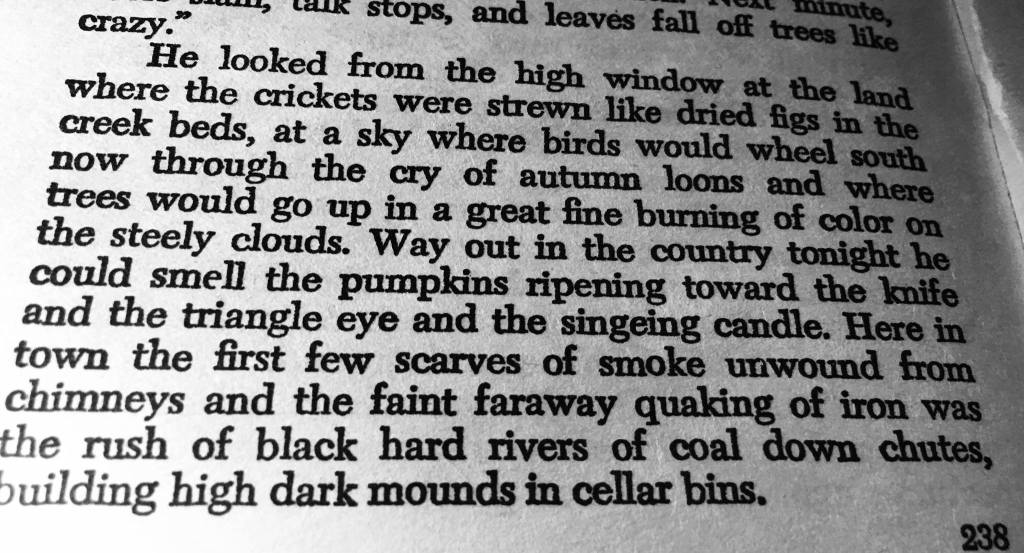 Photo of paragraph from the final chapter of Dandelion Wine.