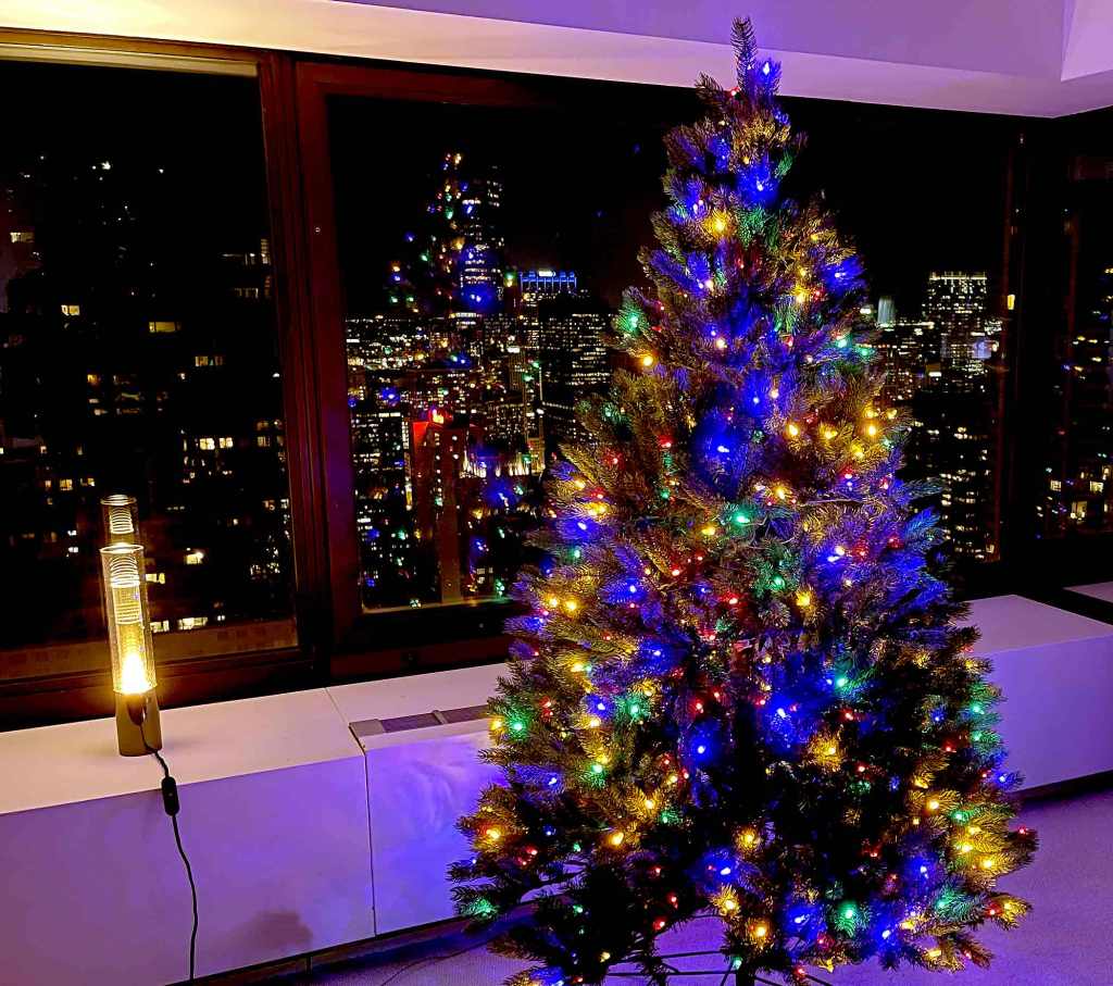 Lighted Christmas tree with Chicago skyline in background.